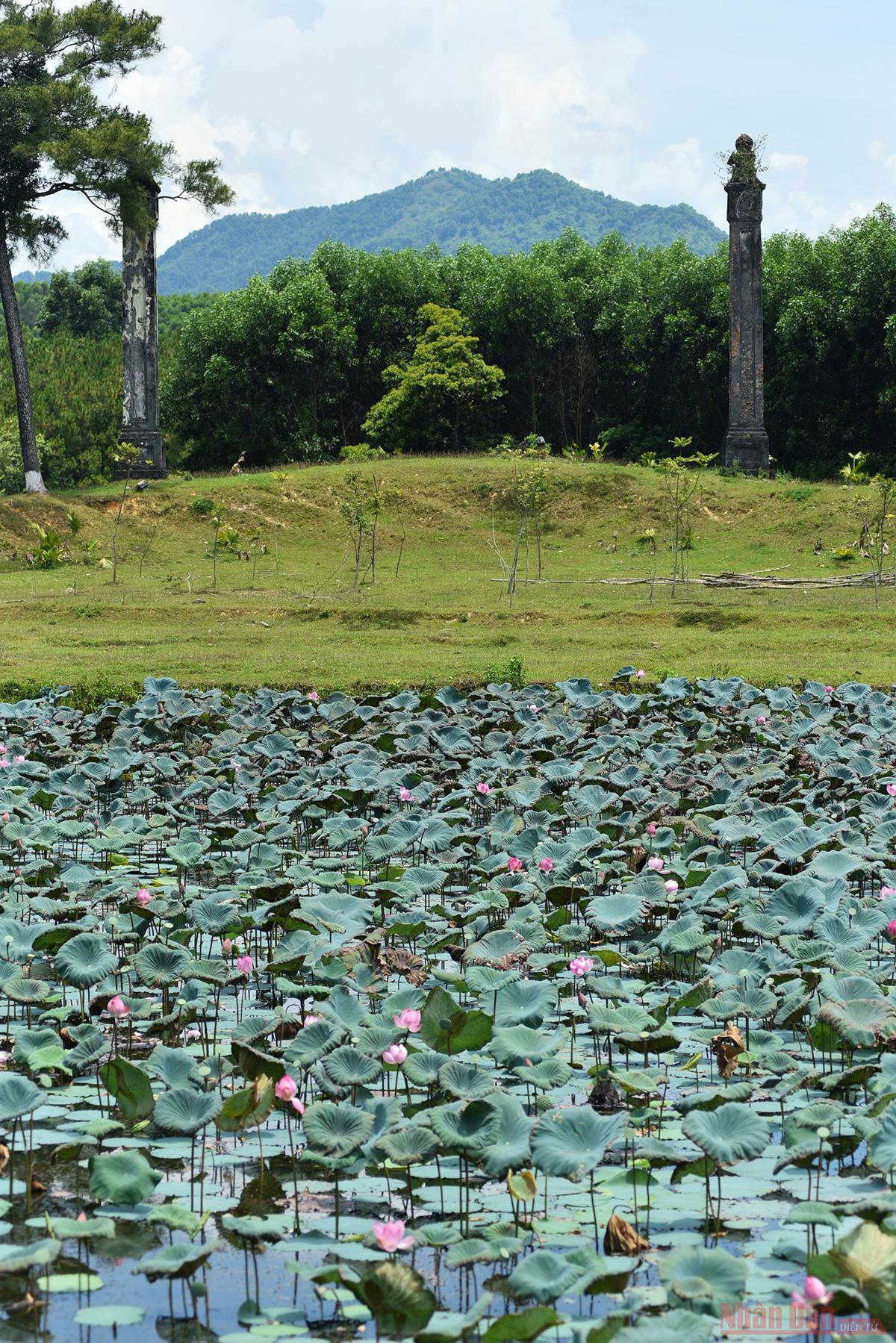 Gia Long Tomb, the solemn resting place of Nguyen Dynasty’s first Emperor 1339 20
